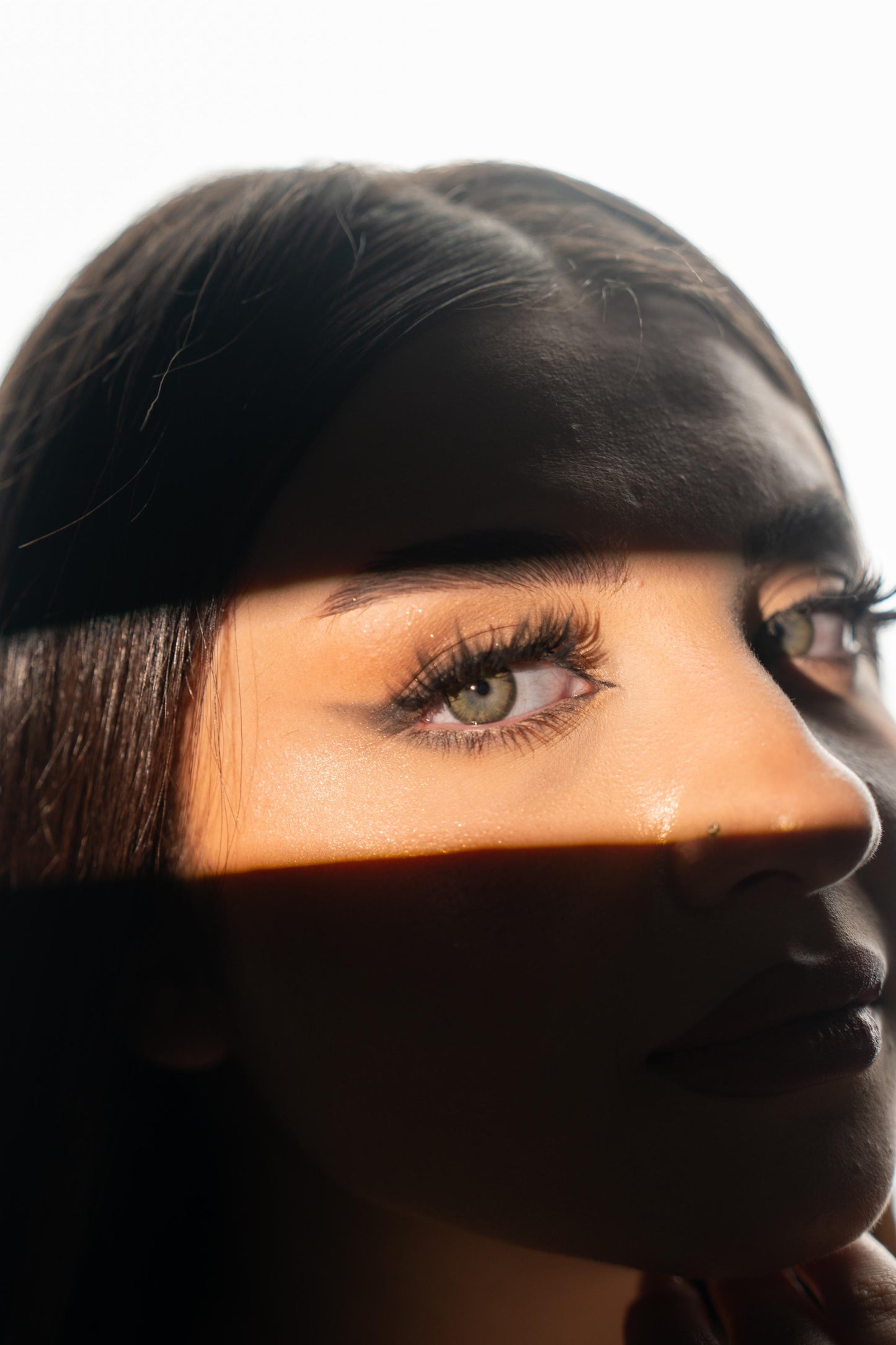 Euphoria Intuition Lenses